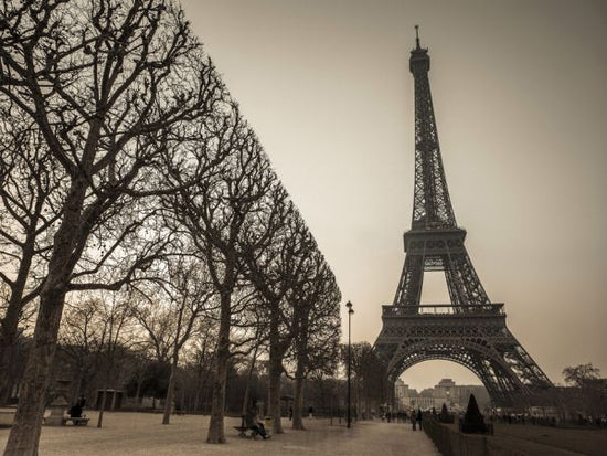 PHOTOWALL / Paris (e326428)