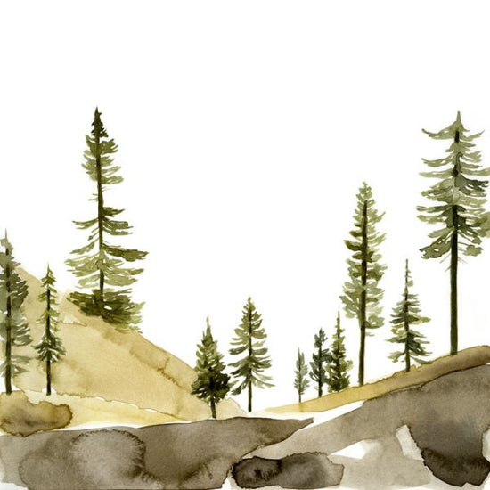 PHOTOWALL / Pine Hill (e324947)