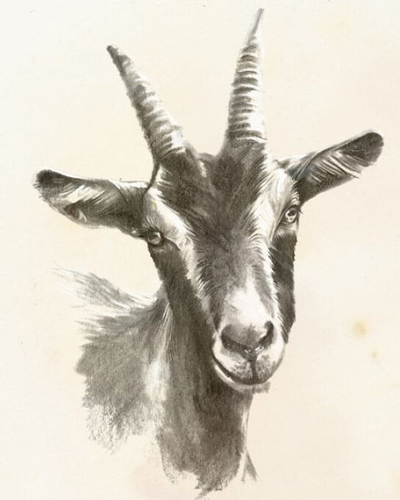 PHOTOWALL / Sketched Farm Portraits II (e324954)