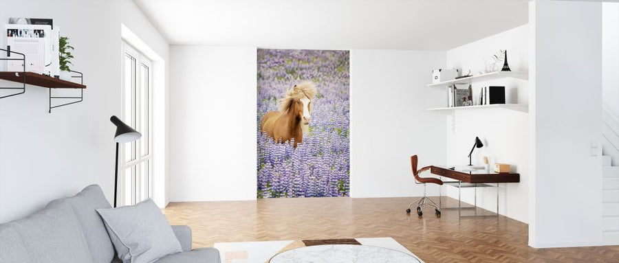 PHOTOWALL / Horse in Lavender (e324961)
