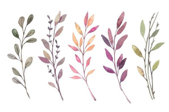 PHOTOWALL / Watercolor Floral Design (e325017)