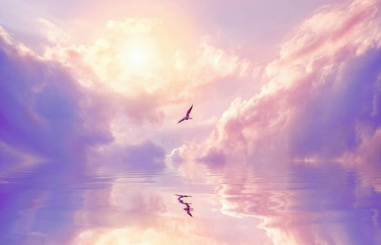 PHOTOWALL / Seagull and Violet Clouds (e325025)