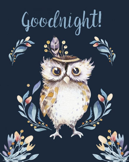 PHOTOWALL / Cute Owl Painting (e325030)