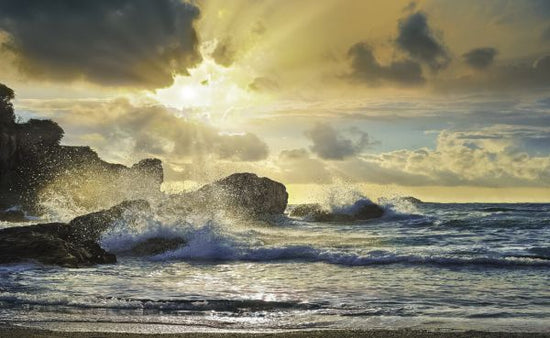 PHOTOWALL / Godzilla Island (e327787)