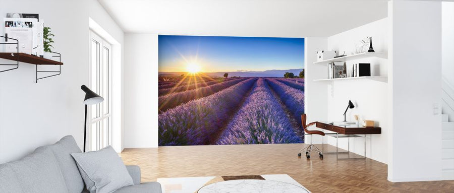 PHOTOWALL / Blooming Lavender Flowers (e327840)
