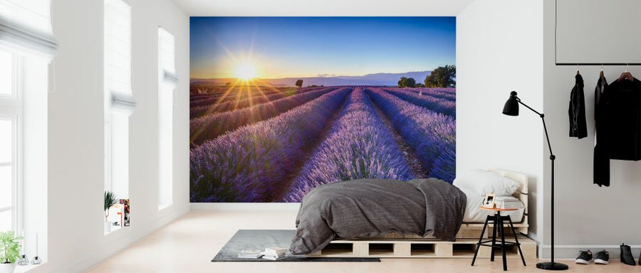 PHOTOWALL / Blooming Lavender Flowers (e327840)