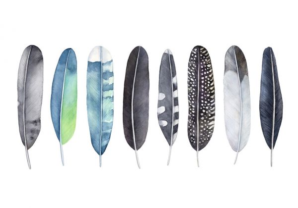 PHOTOWALL / Set of Feathers (e325062) | 輸入壁紙専門店 WALPA