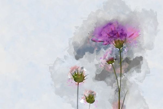 PHOTOWALL / Painting of Cosmos Flower (e325064)