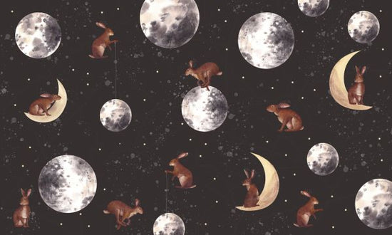 PHOTOWALL / Rabbits on the Moon (e327700)
