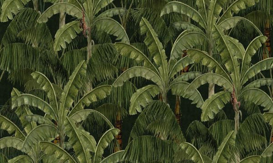 PHOTOWALL / Exotic Foliage (e328049)