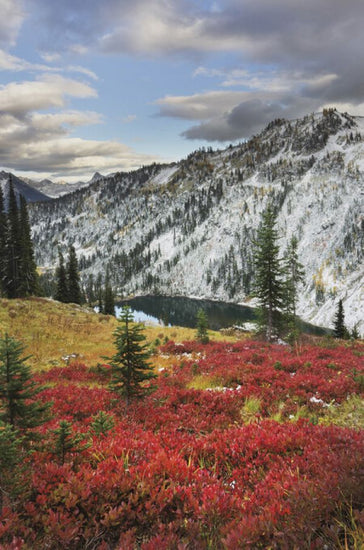 PHOTOWALL / Lake Ann North Cascades (e325325)