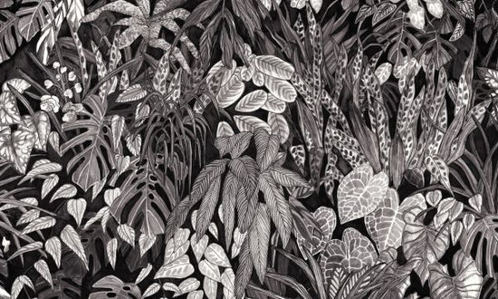 PHOTOWALL / Tanglewood Forest Wall - Black (e328403)