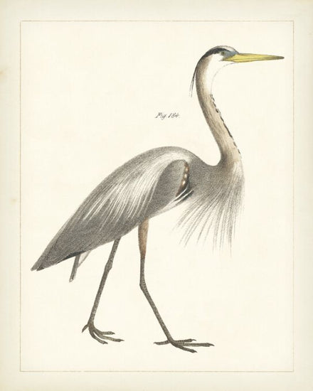 PHOTOWALL / Vintage Heron (e325796)
