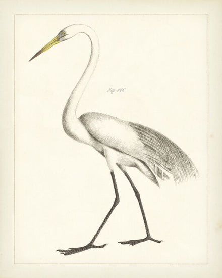 PHOTOWALL / Vintage Heron II (e325797)