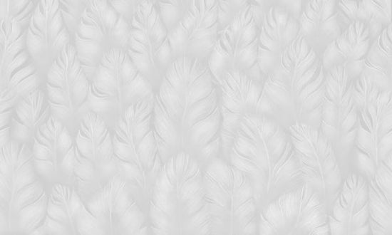 PHOTOWALL / Into the Feathers - Gray (e328424)