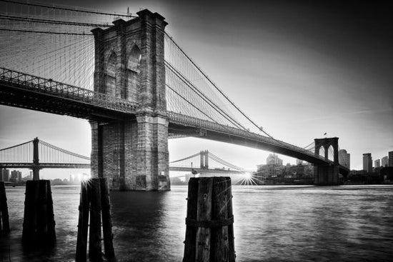 PHOTOWALL / Brooklyn Bridge Sunrise (e327057)