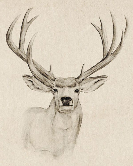 PHOTOWALL / Natural Buck I (e327198)
