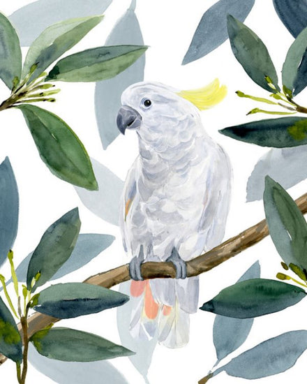 PHOTOWALL / Cockatoo Perch II (e327275)