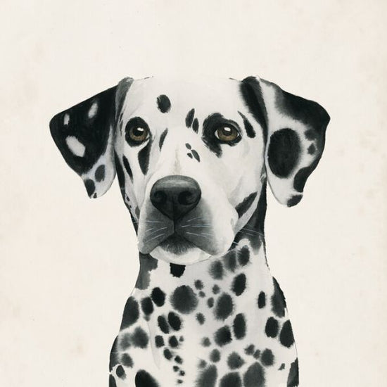 PHOTOWALL / Best Bud II (e327338)