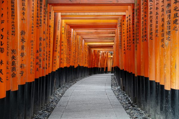 PHOTOWALL / Japan Rising Sun - Torii Gates (e328554)
