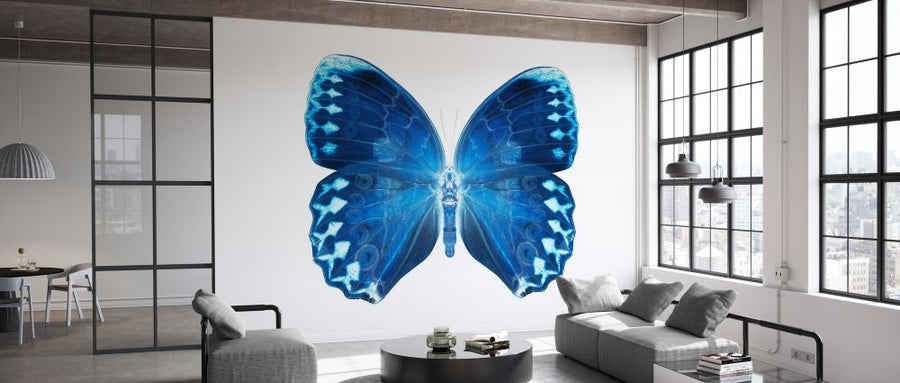 PHOTOWALL / Miss Butterfly X-Ray - Formosana (e328562)