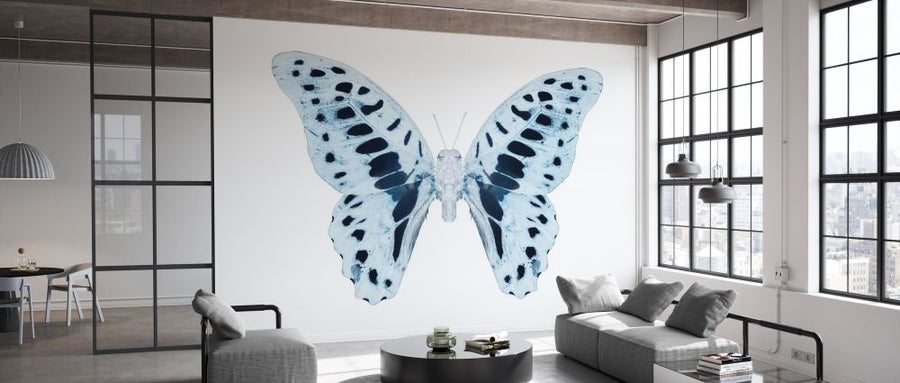PHOTOWALL / Miss Butterfly X-Ray - Graphium (e328563)