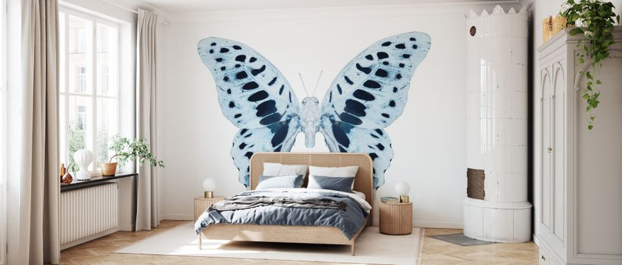 PHOTOWALL / Miss Butterfly X-Ray - Graphium (e328563)