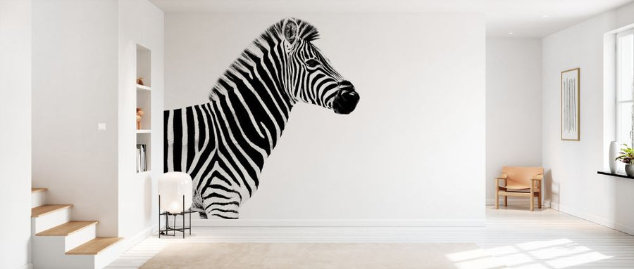 PHOTOWALL / Safari Profile - Zebra (e328580)