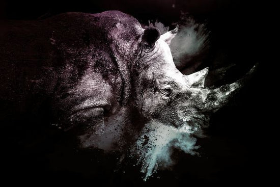 PHOTOWALL / Wild Explosion - The Rhino (e328598)