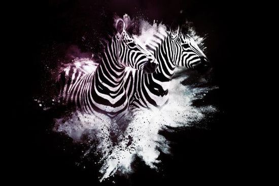 PHOTOWALL / Wild Explosion - The Zebras (e328605)