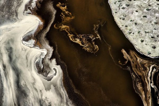 PHOTOWALL / Kenya Flamingo (e328181)