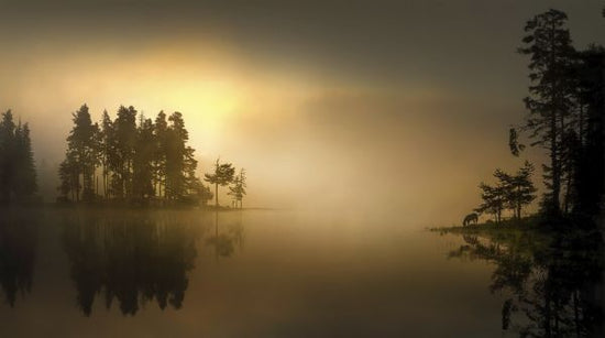 PHOTOWALL / Foggy Waters (e328494)