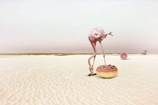 PHOTOWALL / Donut Beach (e328508)