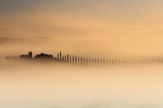 PHOTOWALL / Foggy Sunrise (e328528)
