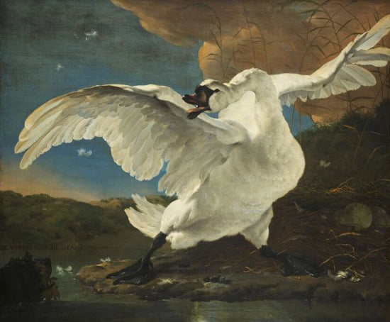 PHOTOWALL / Threatened Swan (e328312)
