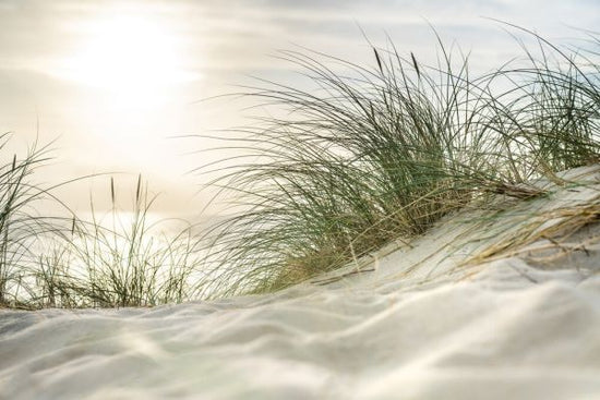 PHOTOWALL / Sandy Dunes and Sea (e327874)
