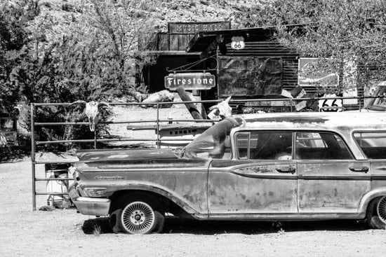 PHOTOWALL / Black Arizona - Route 66 Old Car (e328620)