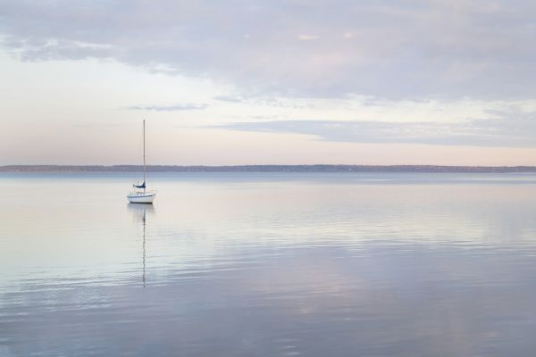 PHOTOWALL / Sailboat in Bellingham Bay (e328671)