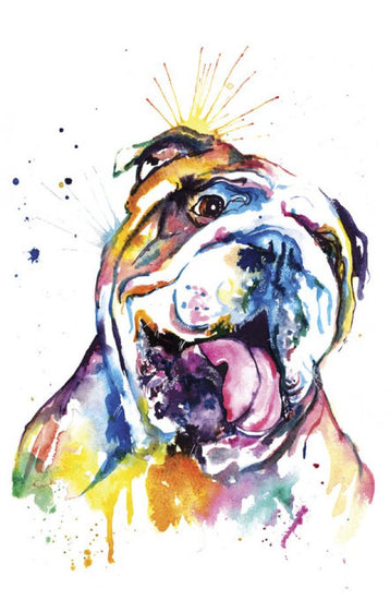 PHOTOWALL / Bulldog (e329043)