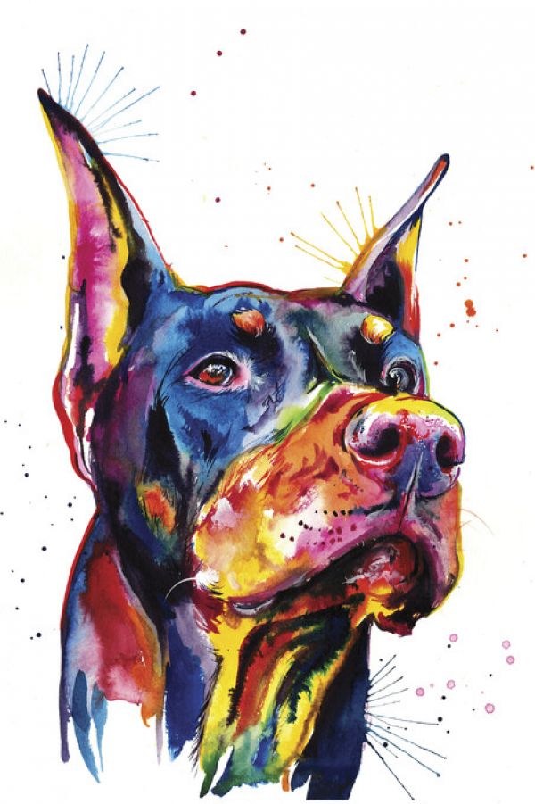 PHOTOWALL / Doberman (e329048) | 輸入壁紙専門店 WALPA – WALPA.jp