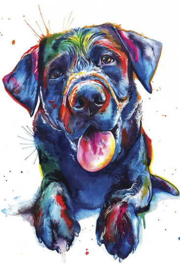PHOTOWALL / Black Lab (e329063)