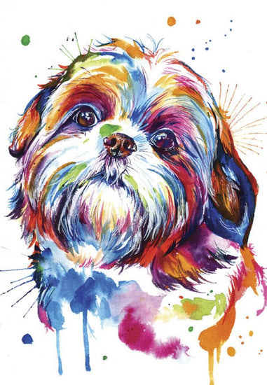 PHOTOWALL / Shih Tzu (e329073)