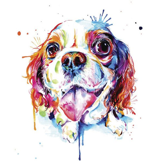 PHOTOWALL / Cavalier King Charles Spaniel (e329076)