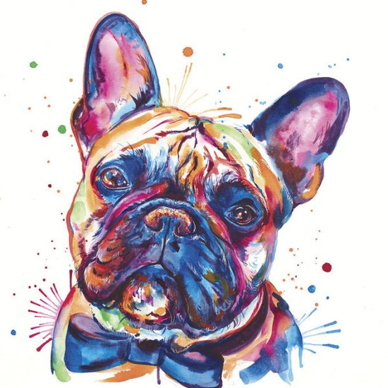 PHOTOWALL / Bowtie Frenchie (e329080)