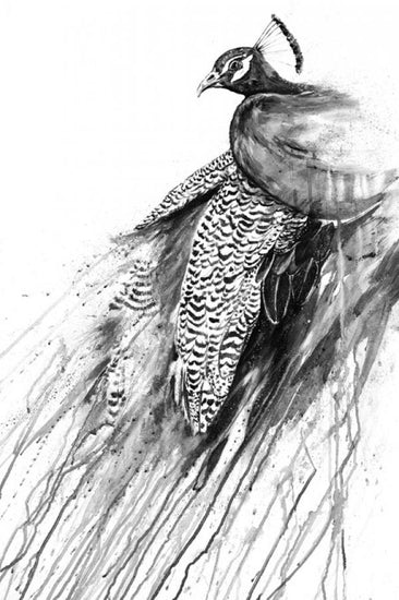 PHOTOWALL / Narcissus - Bw (e329636)