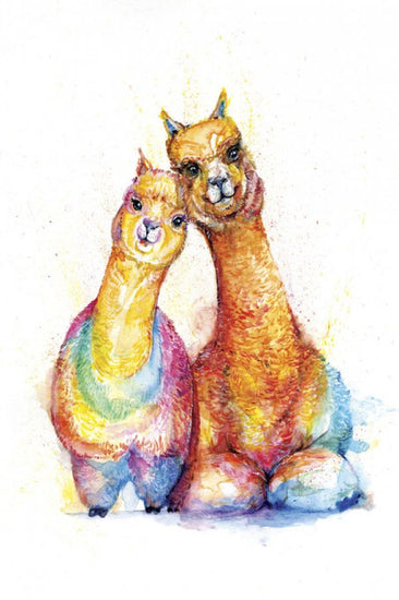 PHOTOWALL / Packa Alpaca (e329661)