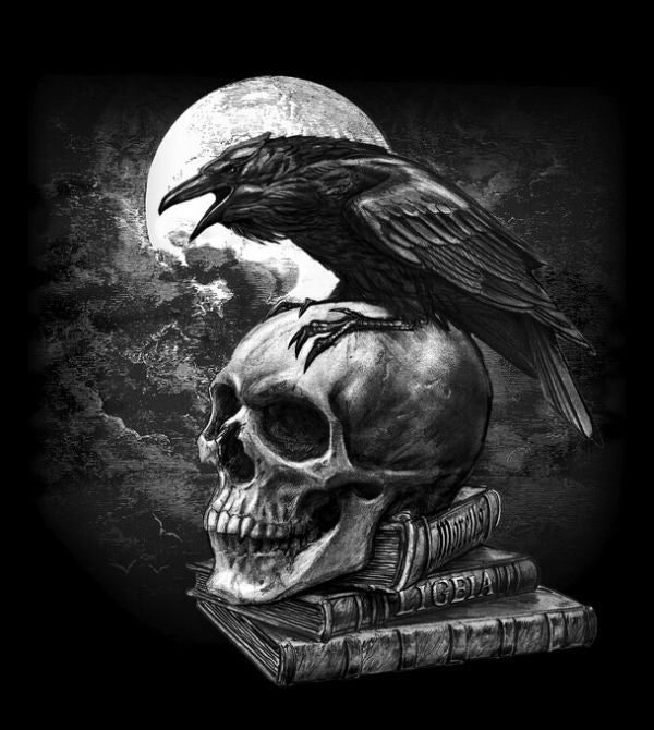 PHOTOWALL / Poes Raven (e330044) | 輸入壁紙専門店 WALPA – WALPA.jp