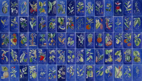 PHOTOWALL / Flavour Floralis (e329830)