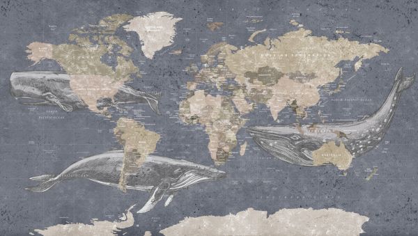 PHOTOWALL / Whale Map - Blue (e330016)