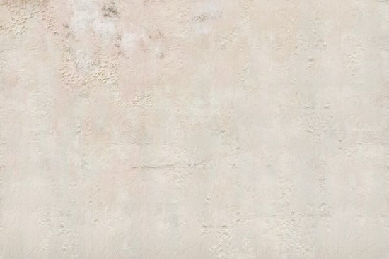 PHOTOWALL / Worn Beige Wall (e330019)